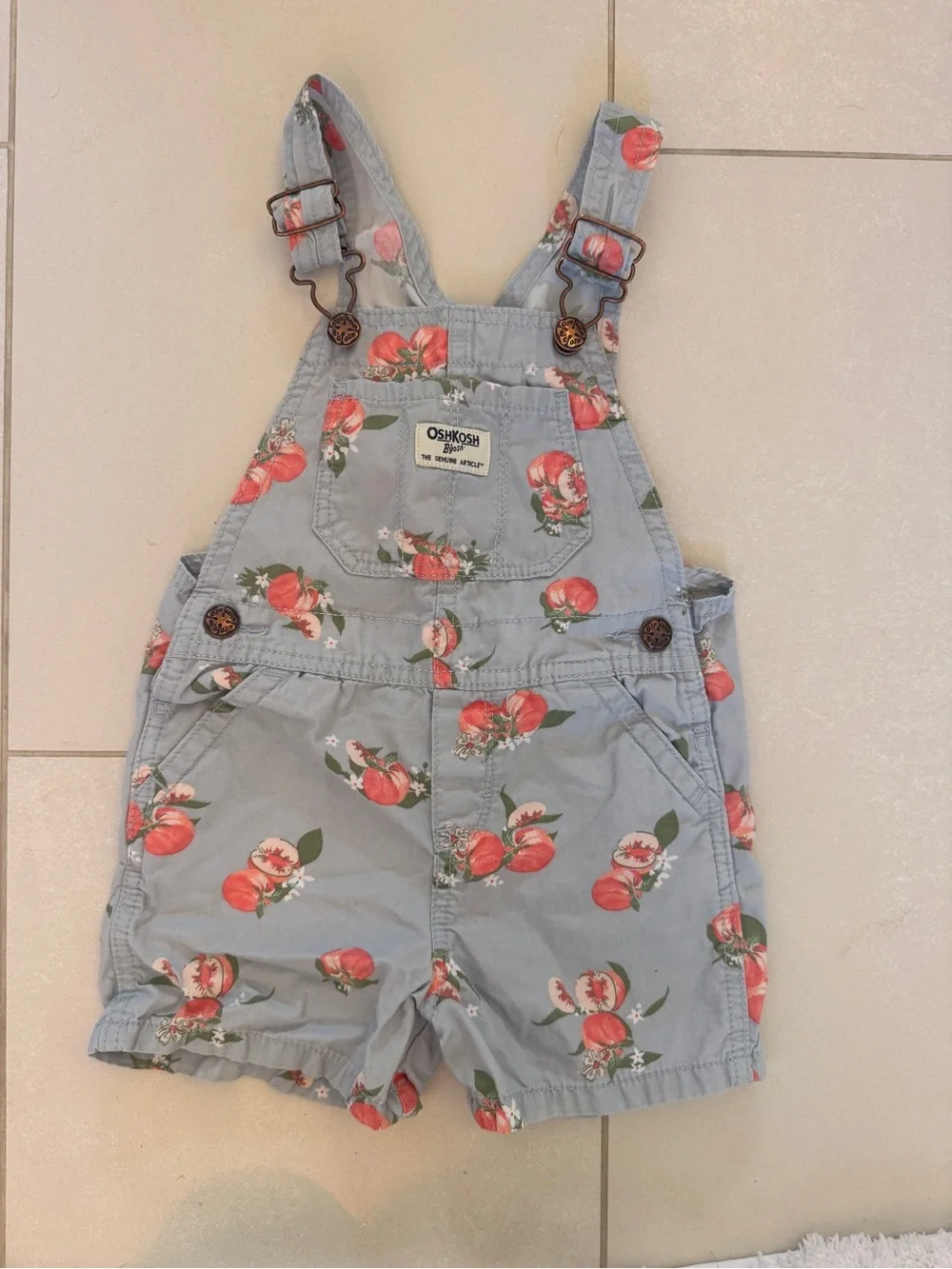 OshKosh B'gosh Light Blue Peach Print Shortall